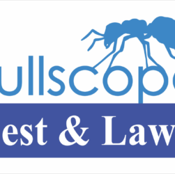 FullScope Service