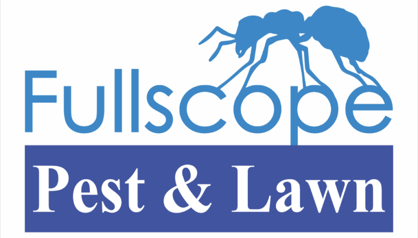 FullScope Service